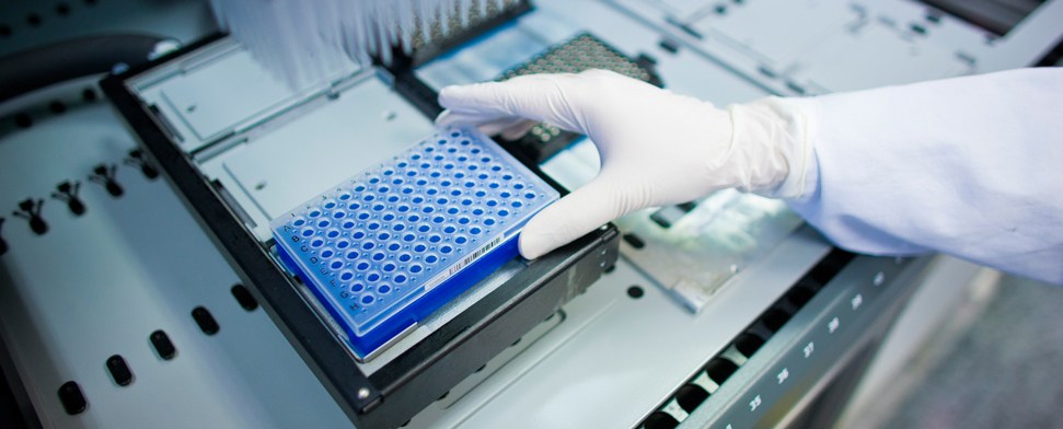 Deutsche Knochenmarkspenderdatei strebt ins Ausland