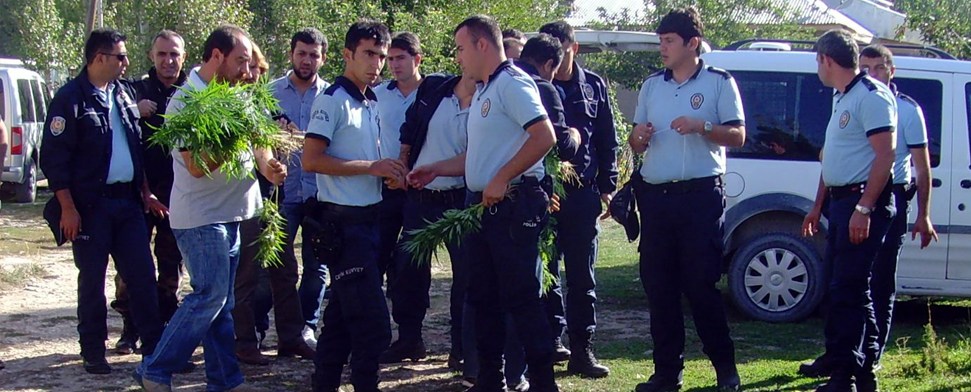 Erfolgreicher Einsatz gegen Drogenkriminalität