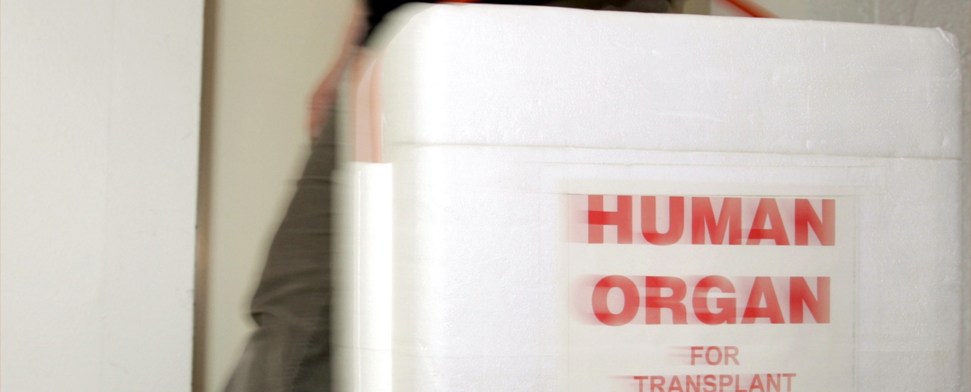 Prüfung auf Herz und Nieren