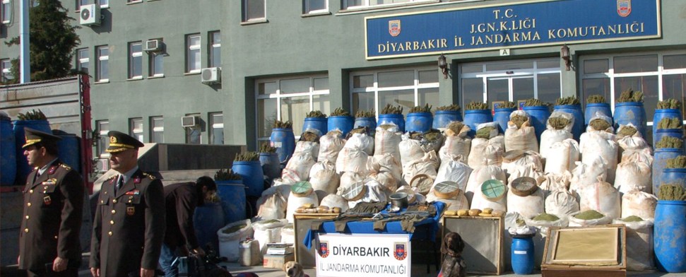 21 Tonnen Cannabis in vier Dörfern