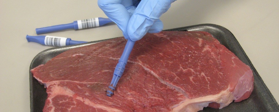 Fleischskandal: 100% pure Beef – pure Illusion?