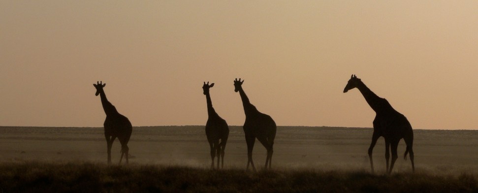 Namibia: Ein afrikanisches Ressourcen- und Investitionsparadies