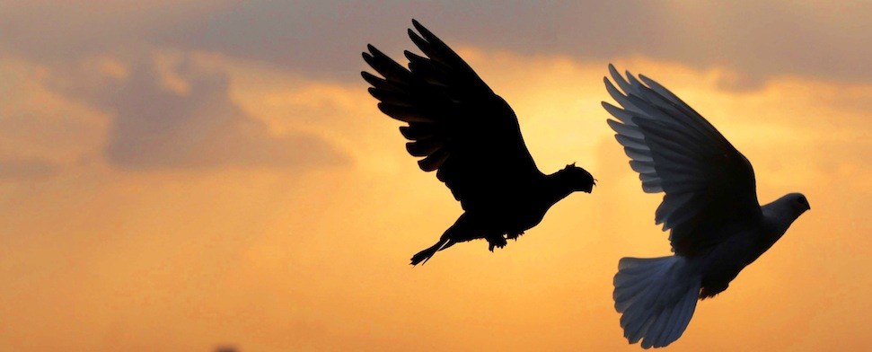 Öcalan und die „Pax Ottomana“