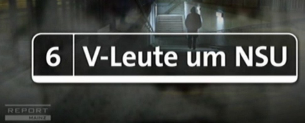 Die Grauzone: Das V-Mann-System