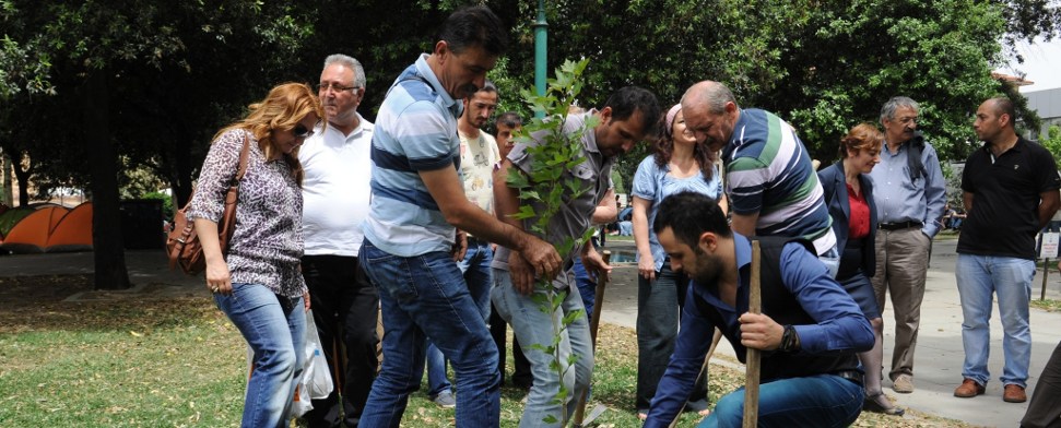 Bäume sterben an dem Ort, wo sie zur Welt kamen