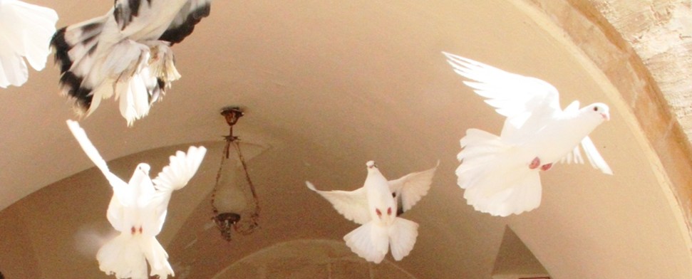 Aufruf zur Besinnung