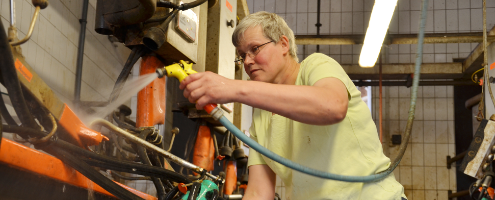 Minijobs: Wohltat oder Plage?