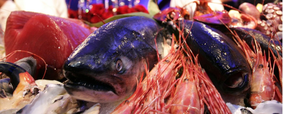 Meeresfrüchte bescheren der Türkei 60 Millionen Dollar