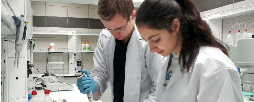 Wettbewerbsindex: Deutschland überholt USA