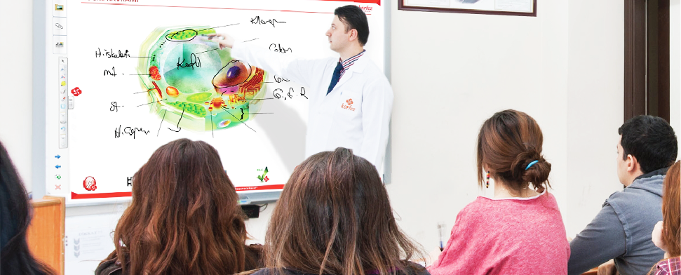 Nicht der Staat verbietet, sondern der Markt regelt