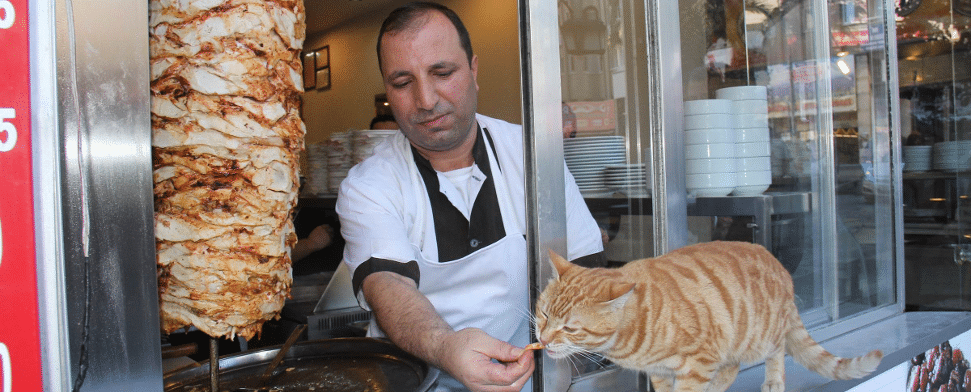 „Schöner Leben mit Döner“