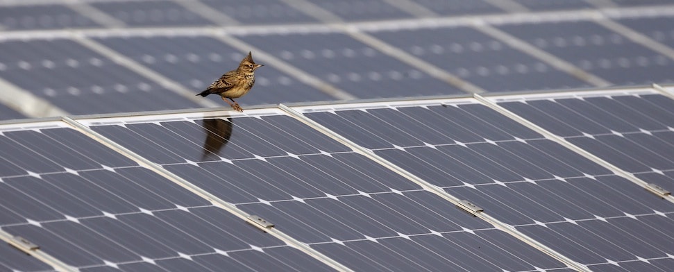 „Energie-Airbus“: Fehlende Konkurrenzfähigkeit durch Größe kompensieren