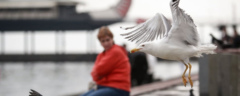 Türkische Unternehmen könnten die großen Gewinner auf der Krim sein