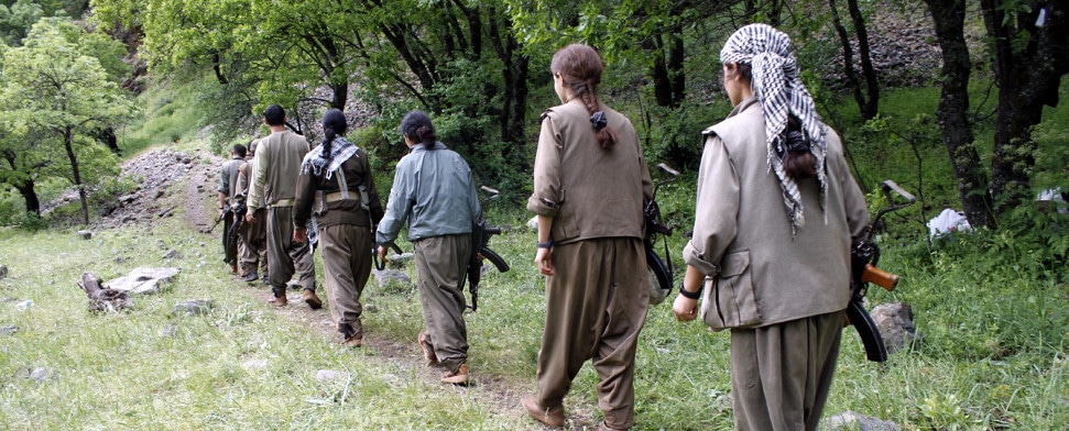 Unionsfraktionschef Kauder will Terrororganisation PKK bewaffnen