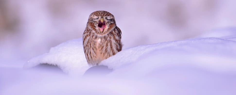 Wie wird in der Türkei und in Südkorea Weihnachten gefeiert?