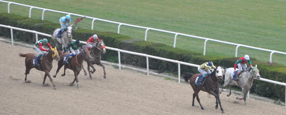 Türkei will Pferderennen privatisieren