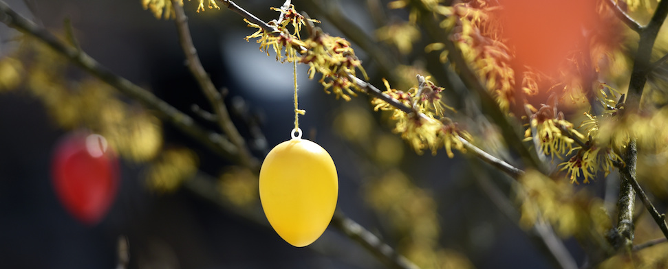 Ostern: Fastenbrechen mit Baklava