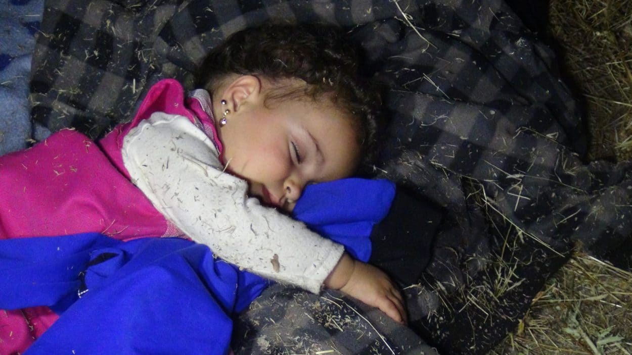 Was tut die Türkei für die syrischen Flüchtlinge? Hier die nackten Zahlen