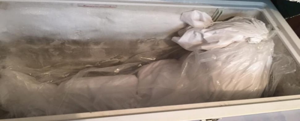 Türkei: Kurden unter Druck – Totes Mädchen tagelang in der Tiefkühltruhe