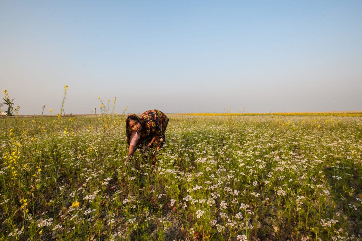 Was ich unter Integrated Happiness verstehe