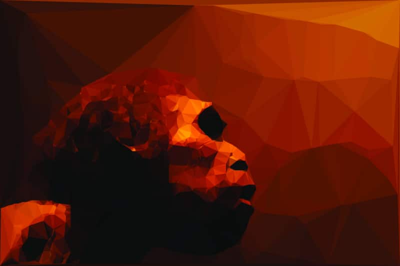 Kritik an geplanter Darwinismus-Streichung aus Lehrplänen in Türkei