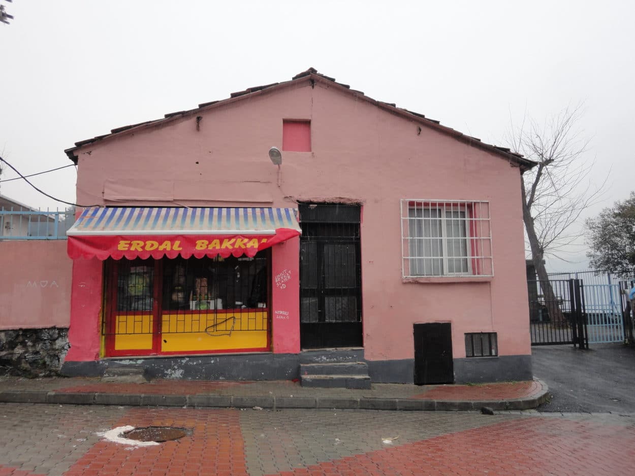 Der Fall Leyla ile Mecnun – Wie die türkische Politik Serien richtet