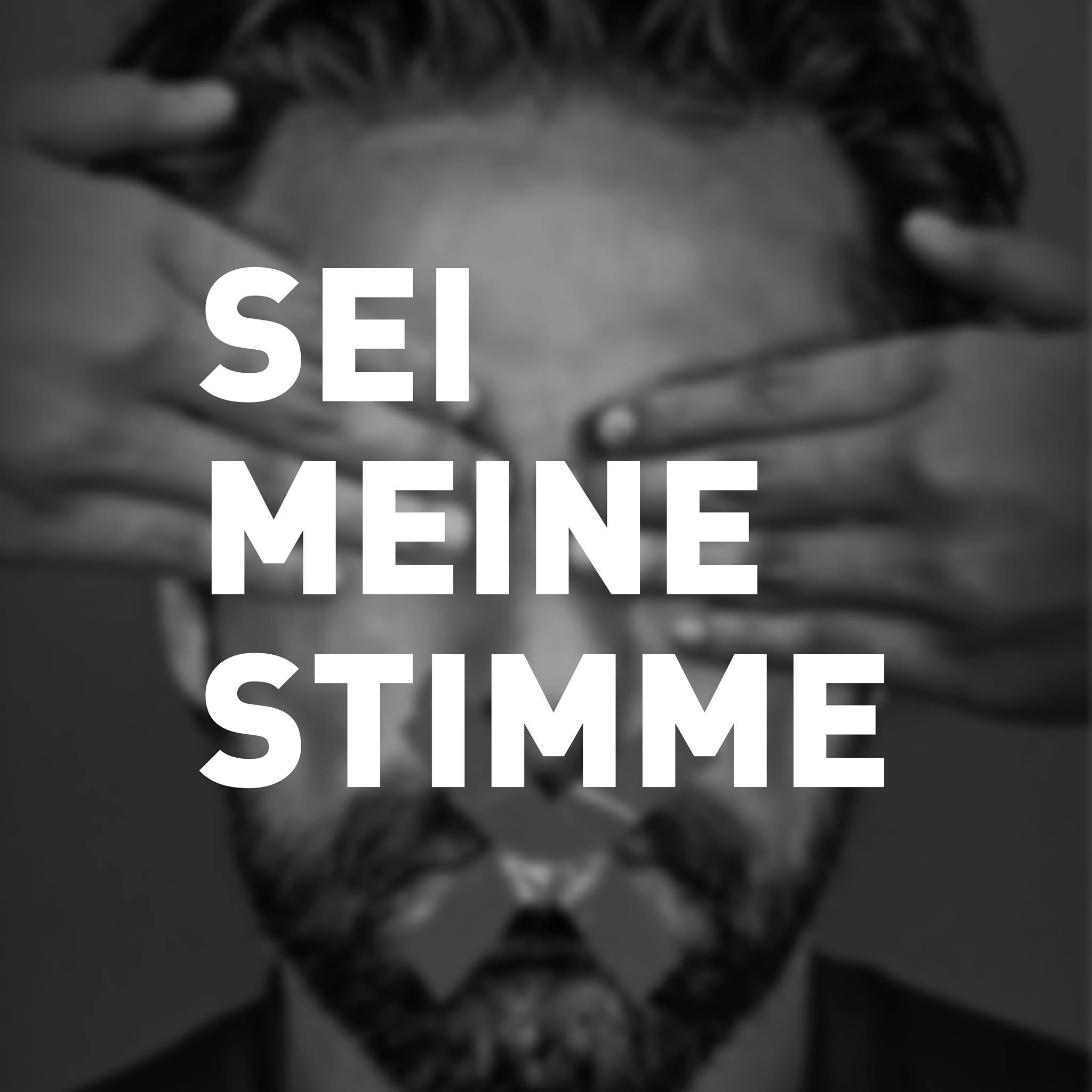 Campfire Festival – „Sei meine Stimme“ mit dabei