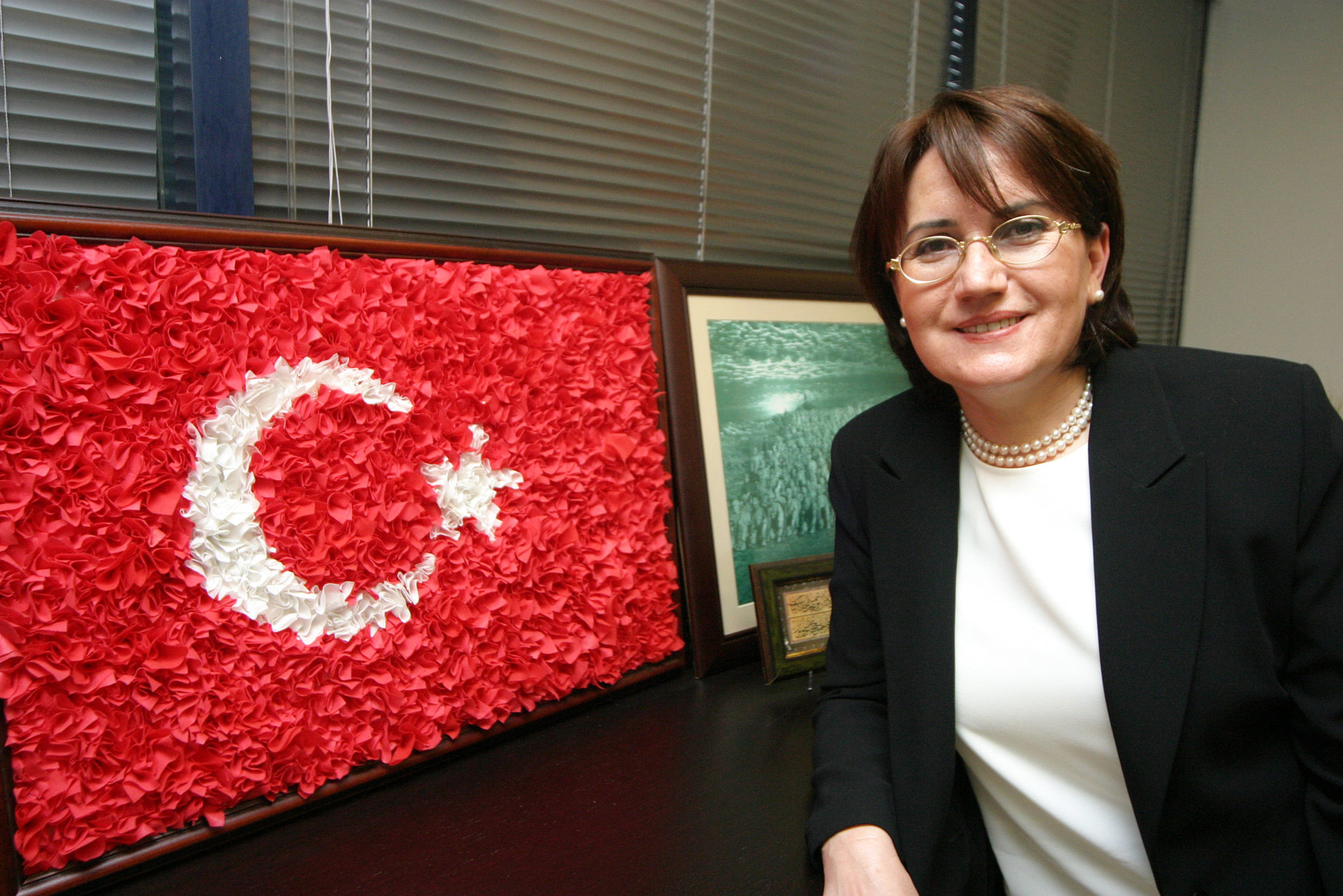 İyi Parti – Die gute Partei?﻿