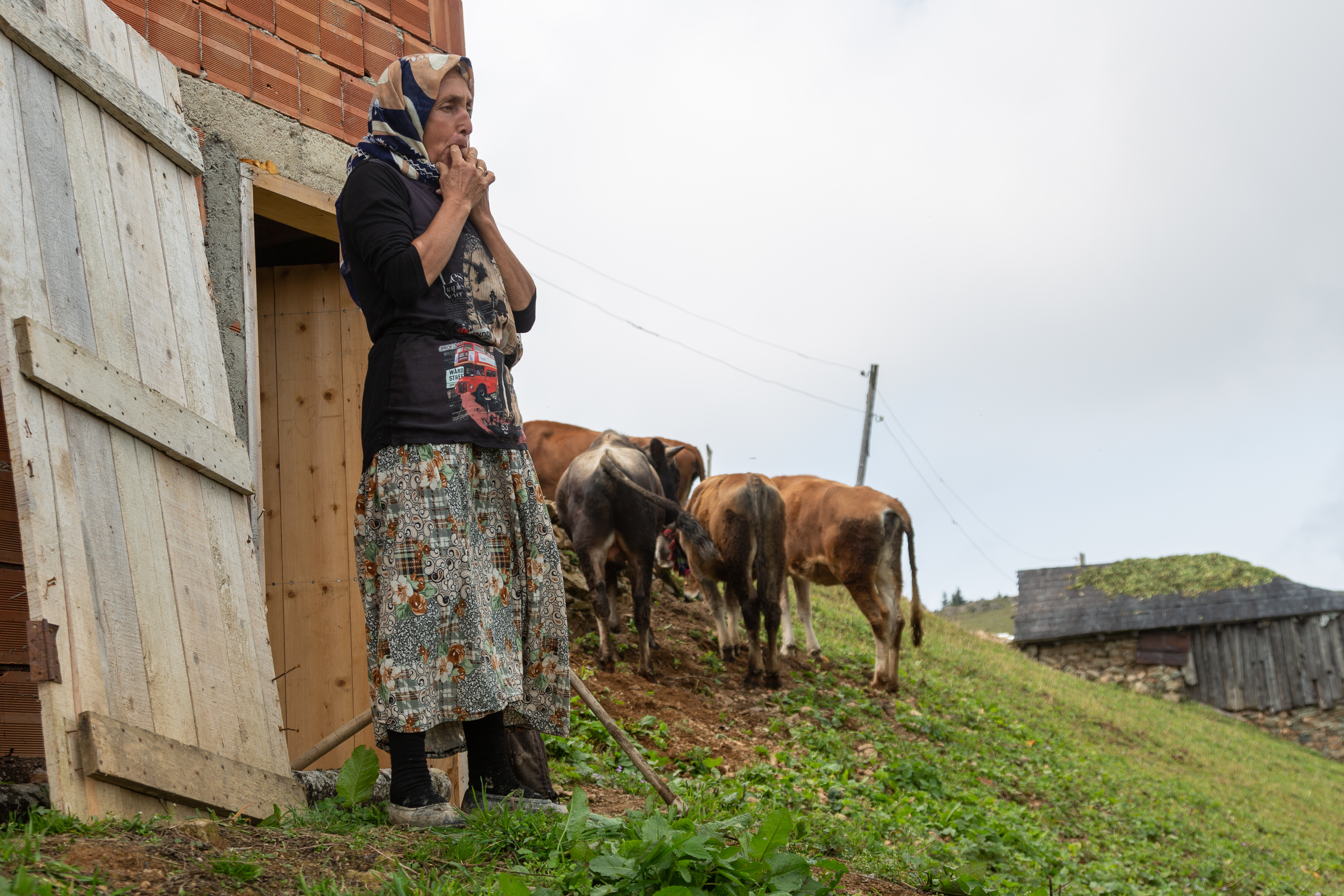 Islık dili: Türken kämpfen um Erhalt der Vogelsprache