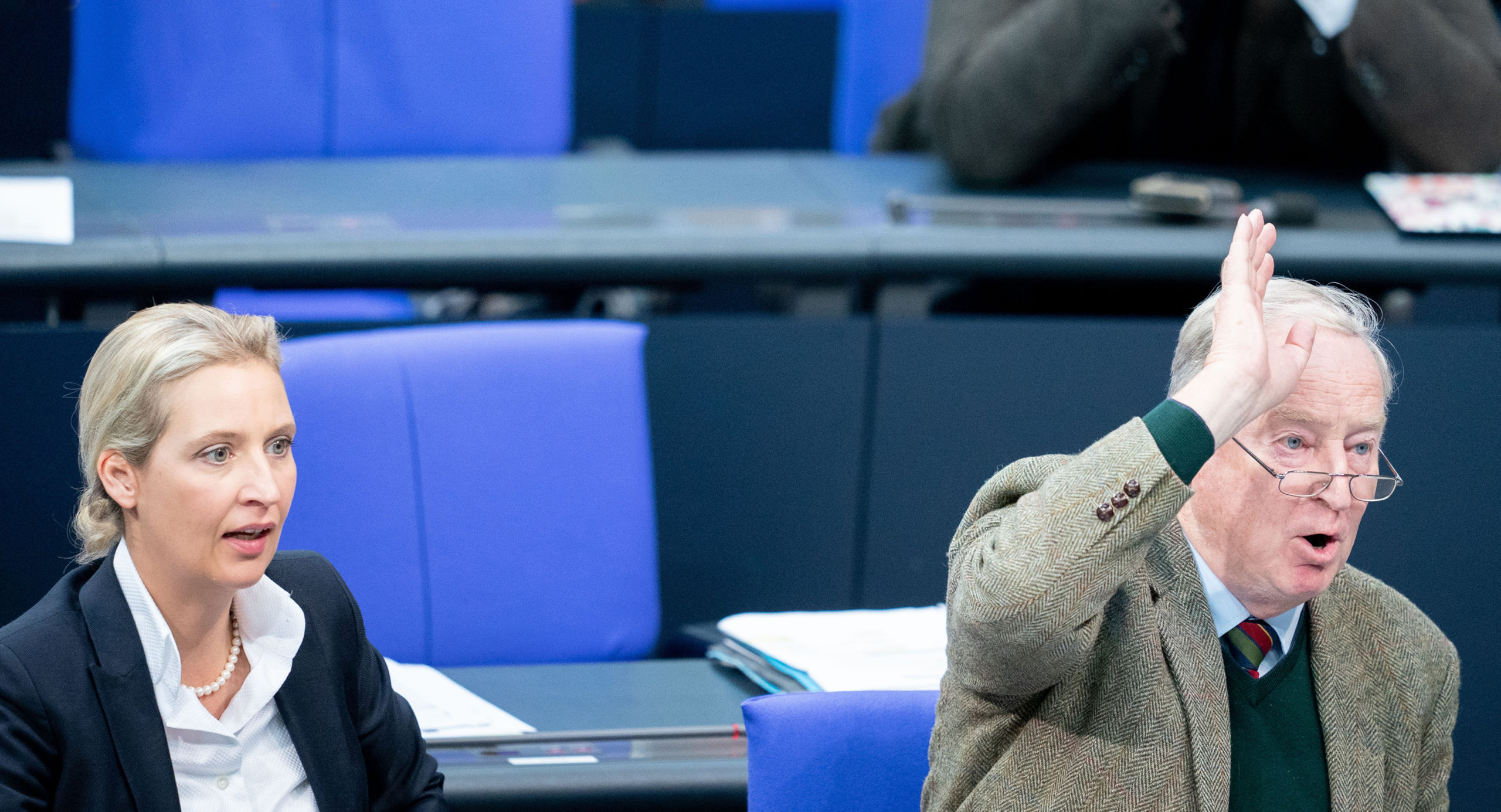 Die Verbalradikalen von der AfD – und wie Muslime davon betroffen sind