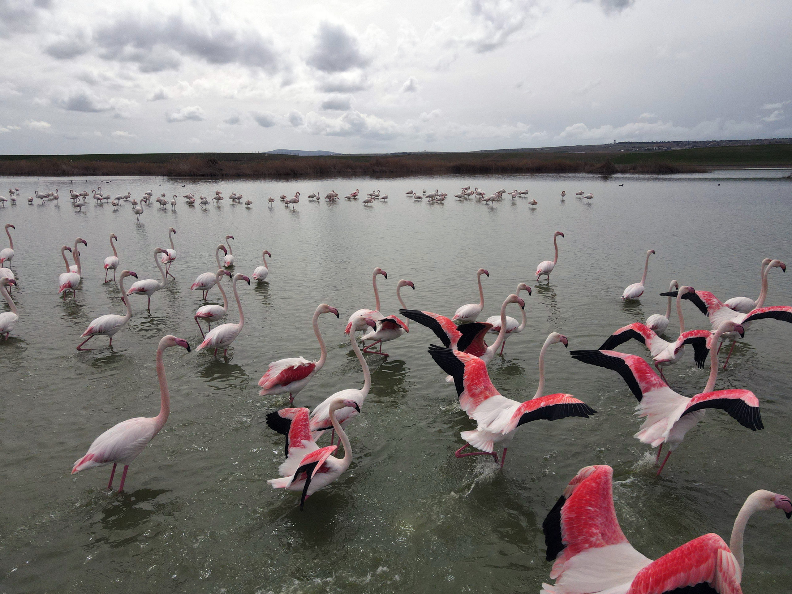 Lockdown in der Türkei: Touristen sind ausgenommen