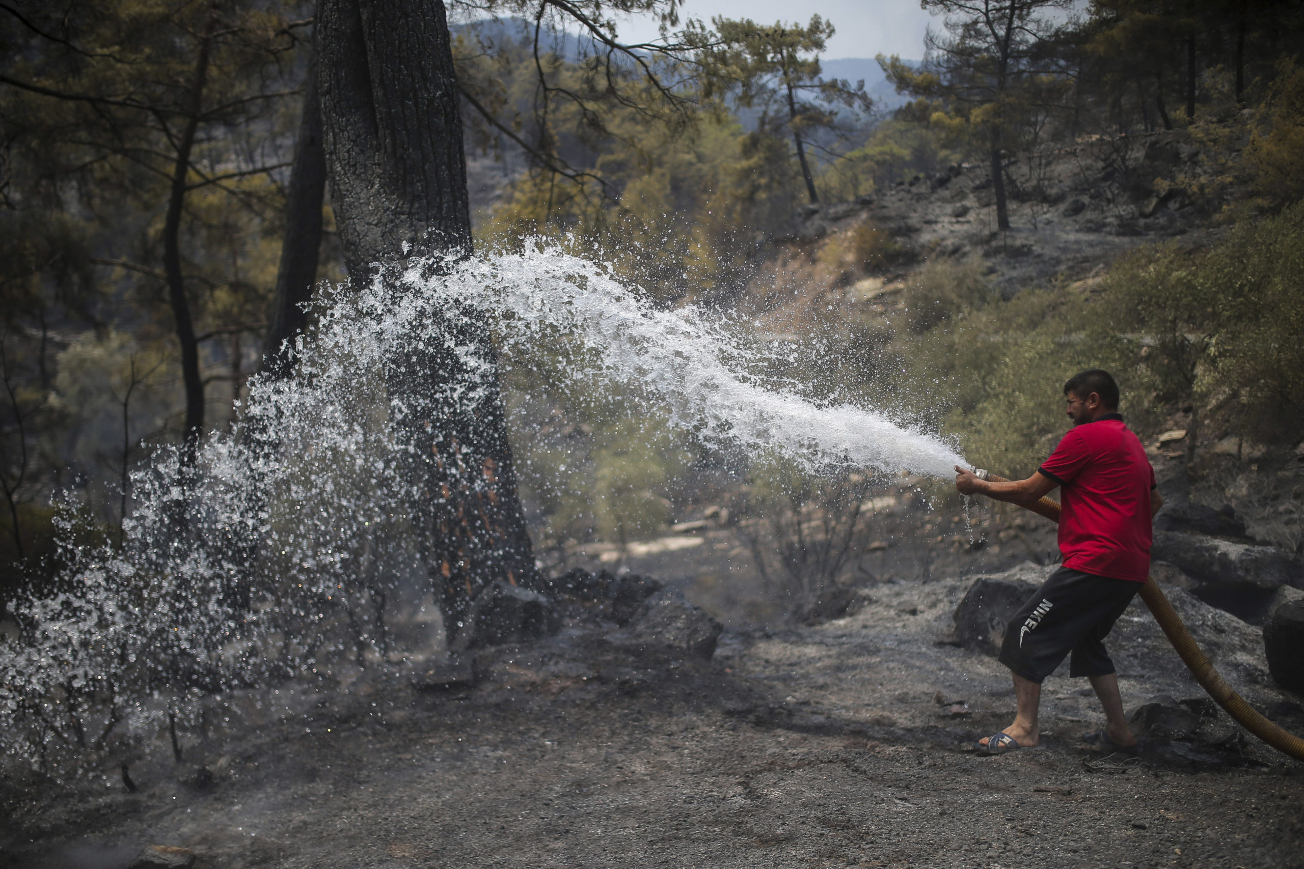 Über Waldbrände berichtet: Türkische Sender müssen Strafe zahlen
