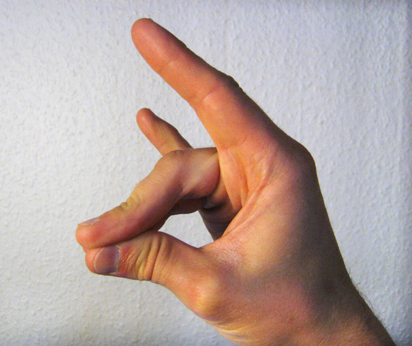 Droht den „Grauen Wölfen“ nach der Wahl das Verbot?