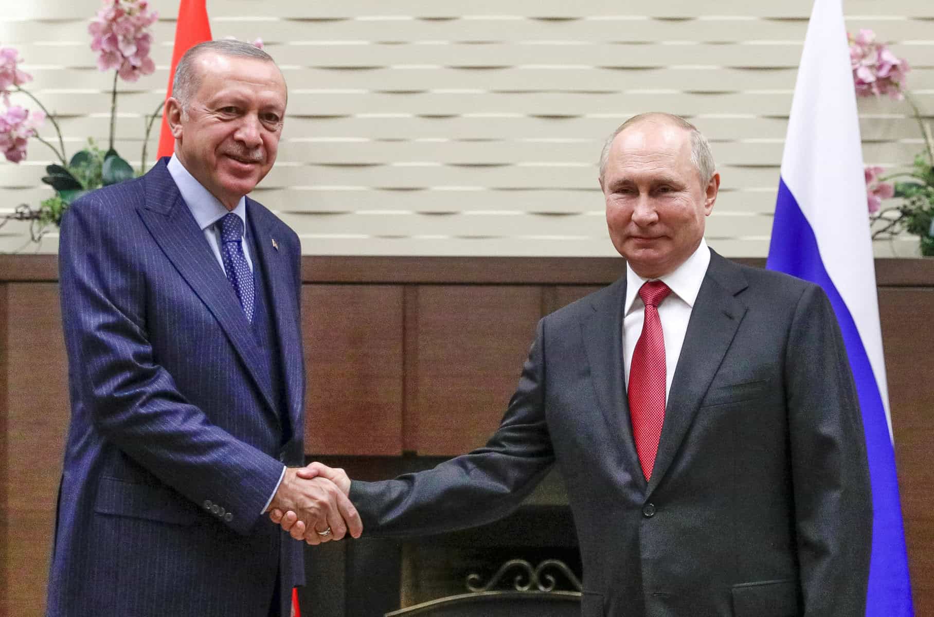 Putin und Erdoğan sprechen über Syrien und Afghanistan – aber nicht über die Krim