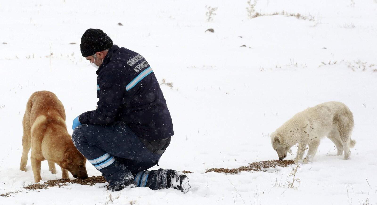 Schnee nun in der Osttürkei: Lawine bringt zwei Männern den Tod
