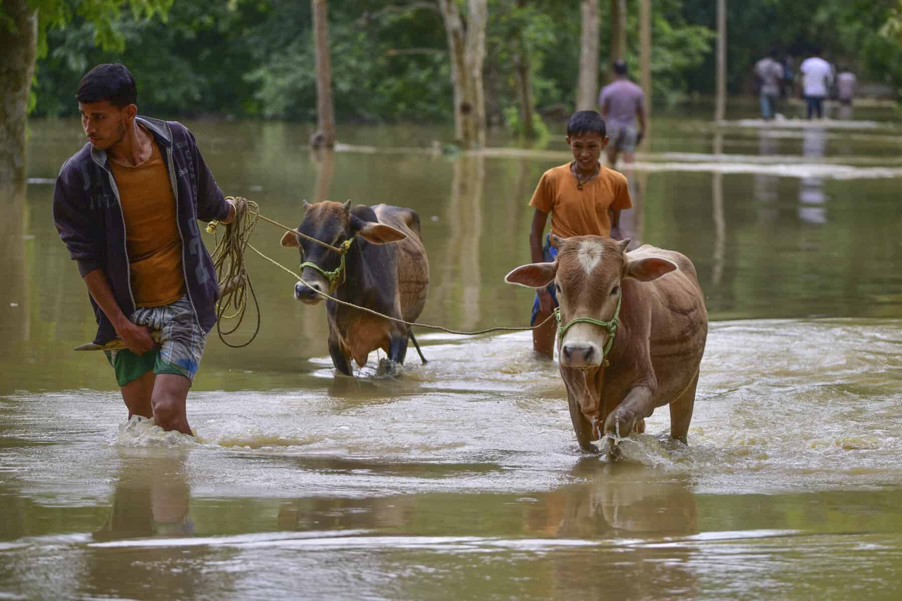Wegen Rindfleisch: Muslimische Schulleiterin festgenommen