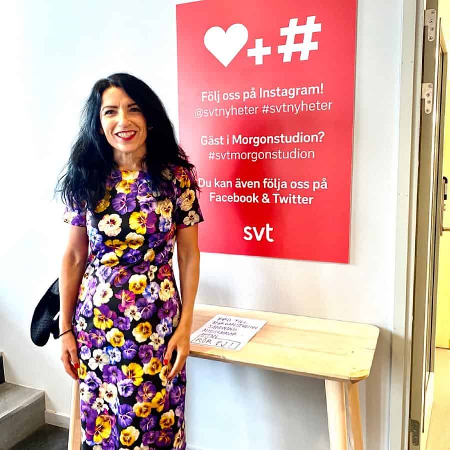 Wegen der Türkei: Regierungskrise in Schweden?