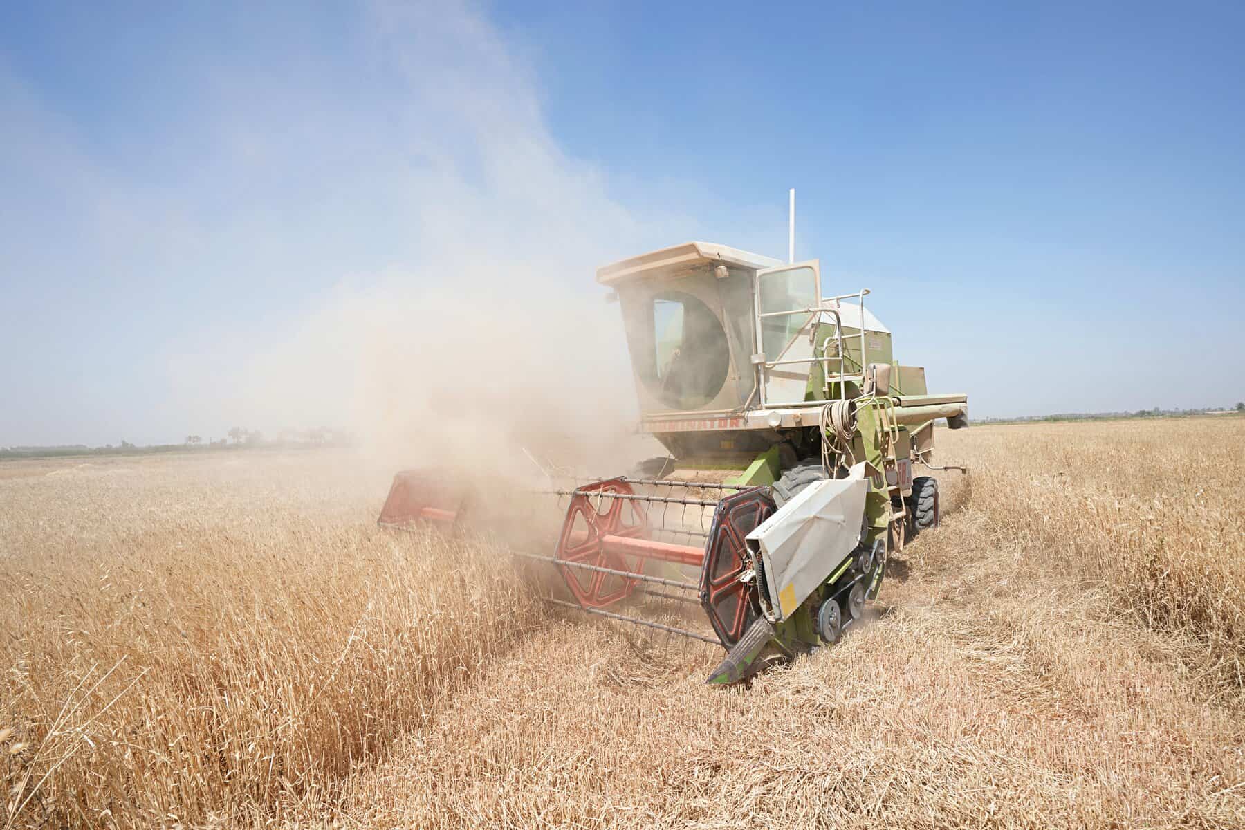 Moskau gibt Westen Schuld für Lebensmittelkrise – Türkei soll helfen