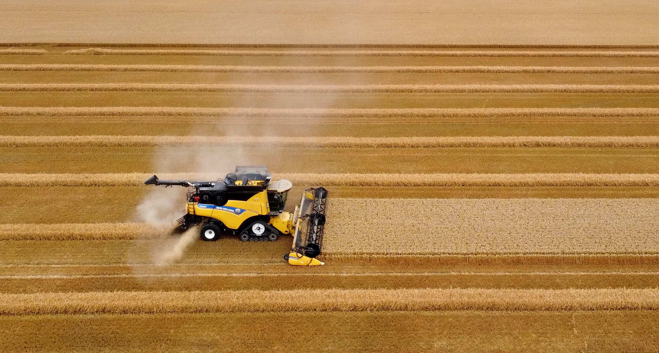 Ökonomen schütteln den Kopf: Türkische Zentralbank senkt Leitzins erneut