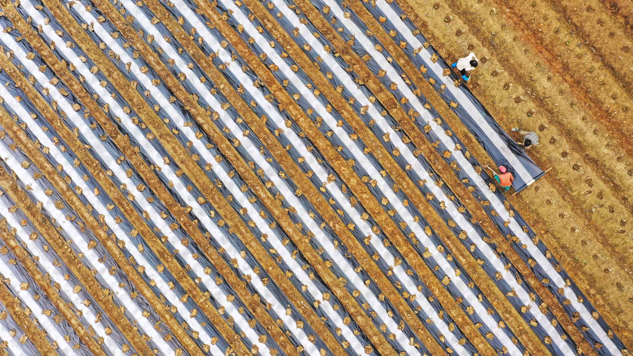 Tauziehen zwischen Moskau und Kiew: Droht ein Ende des Getreide-Deals?