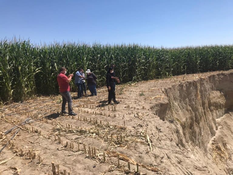 Das nächste Riesen-Senkloch: Ankara will Anbau wasserarmer Pflanzen stärker fördern