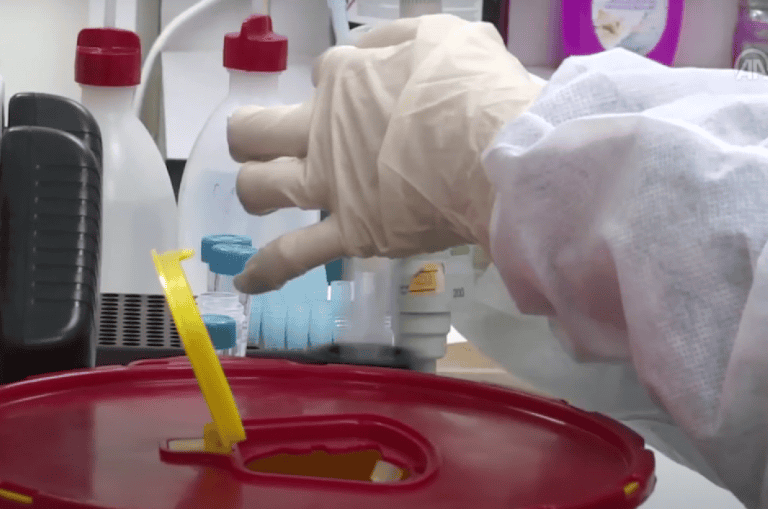 Narins Todesursache steht fest