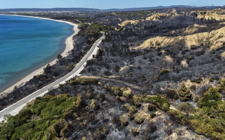 Waldbrände in der Türkei: Feuerwehr kämpft weiter gegen die Flammen